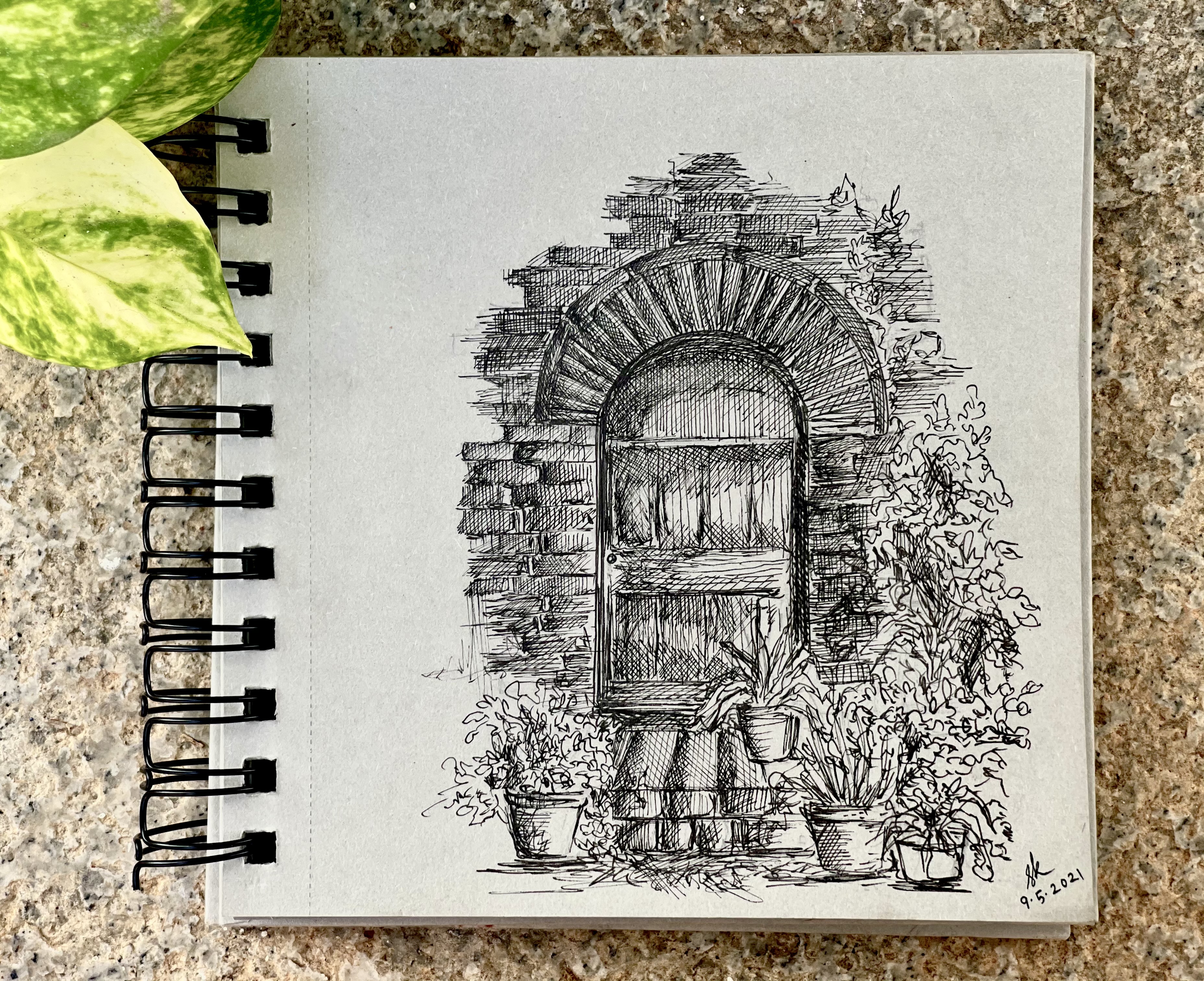 Pen sketch in a spiral notebook of a stone arched doorway flanked by potted plants and climbing foliage