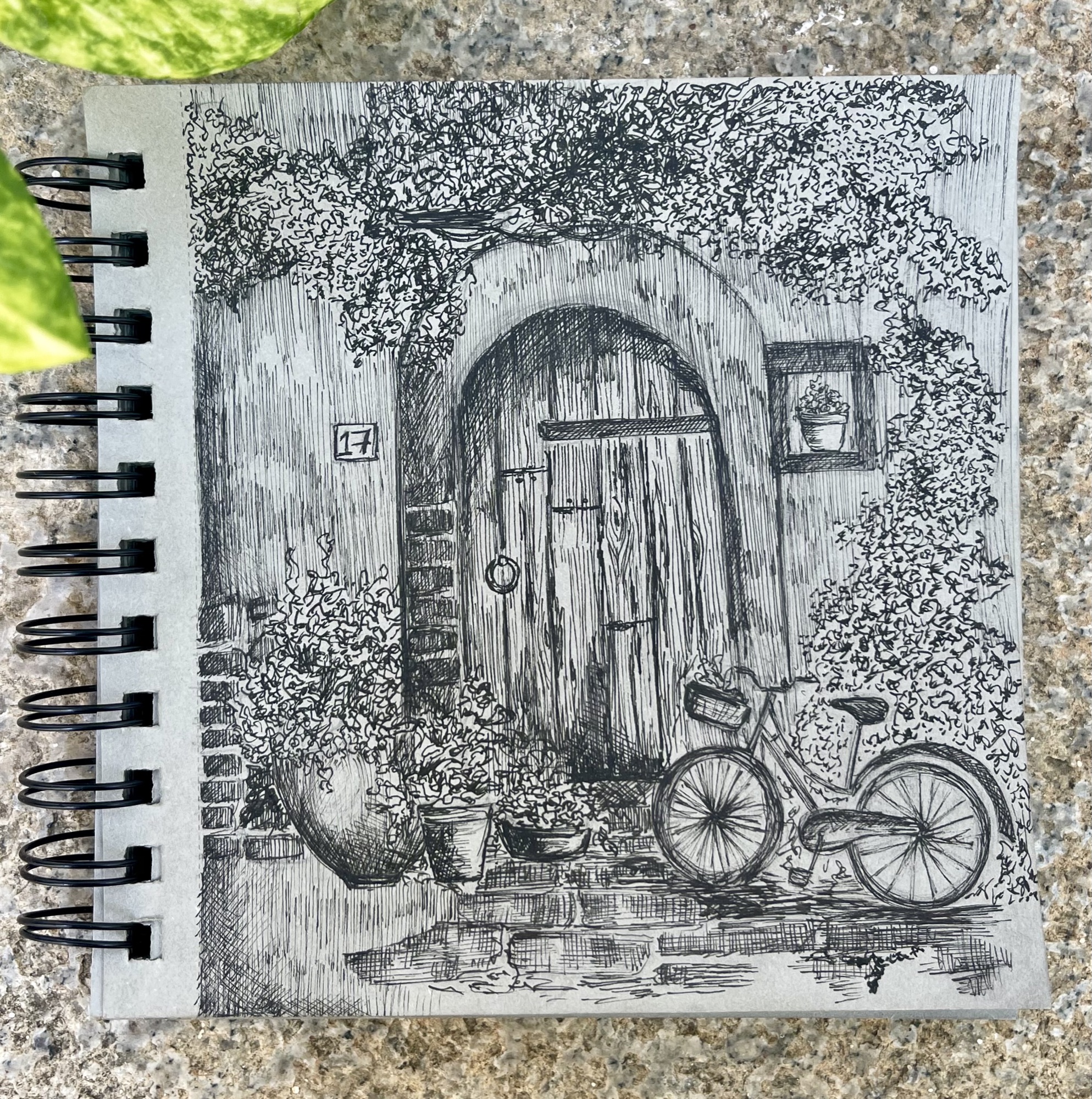 Pen sketch in a spiral notebook of a rustic doorway with a bicycle, potted plants and climbing ivy